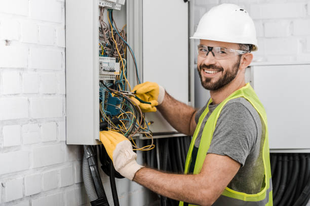Best Electric Panel Repair  in Carrollton, GA