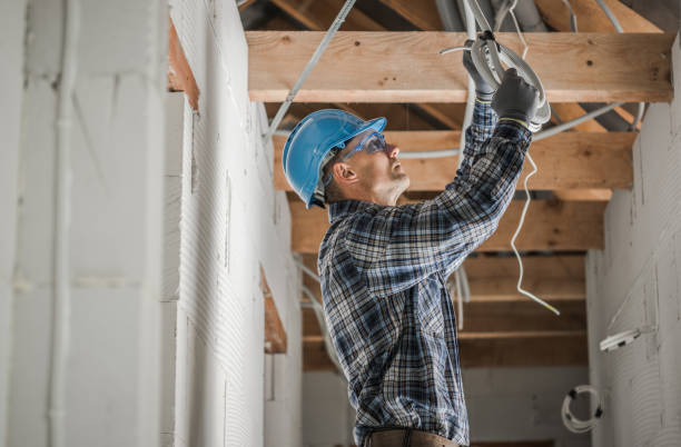 Best Licensed Electrician  in Carrollton, GA